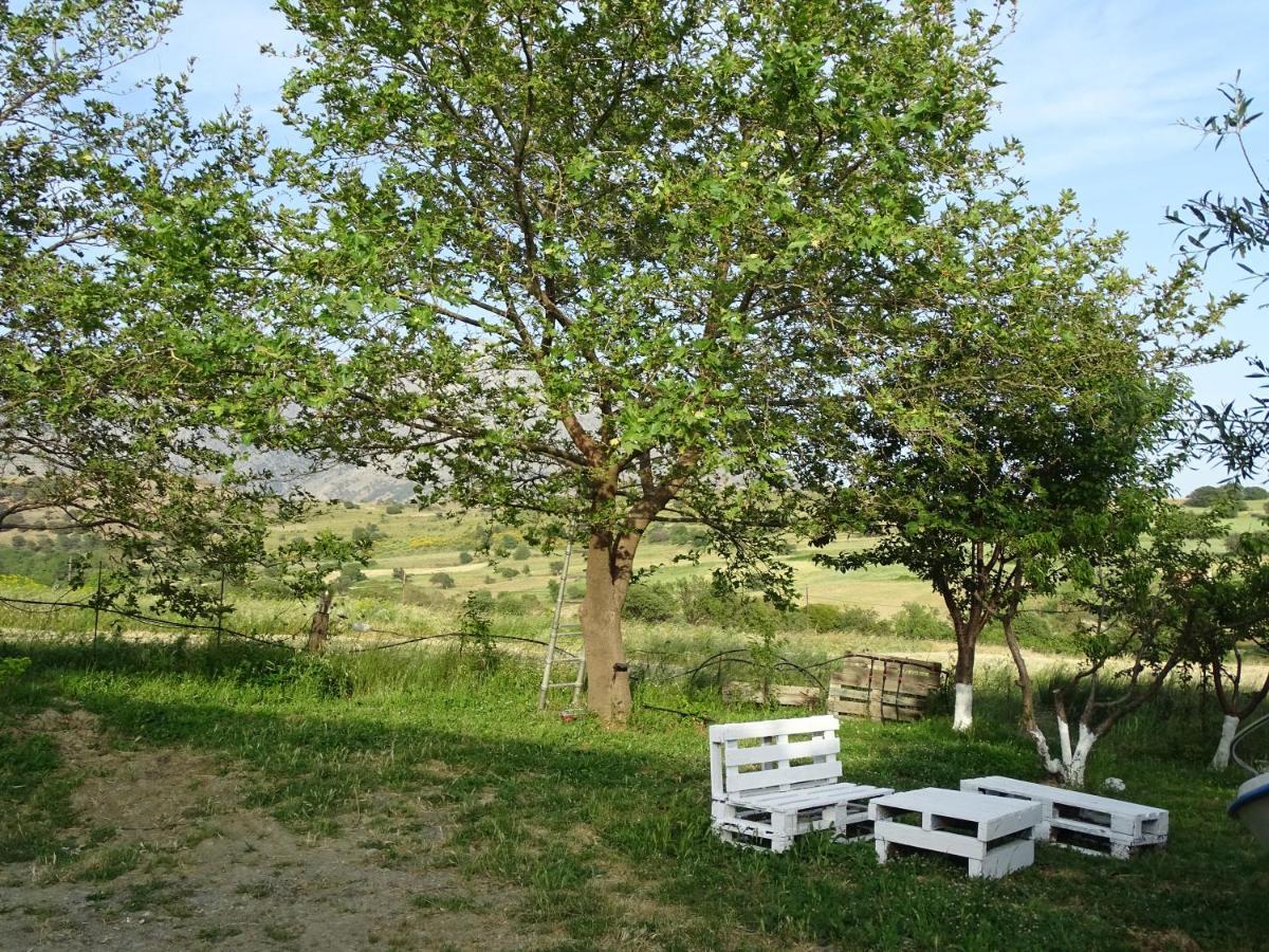 Melenios Houses Samothraki Luaran gambar