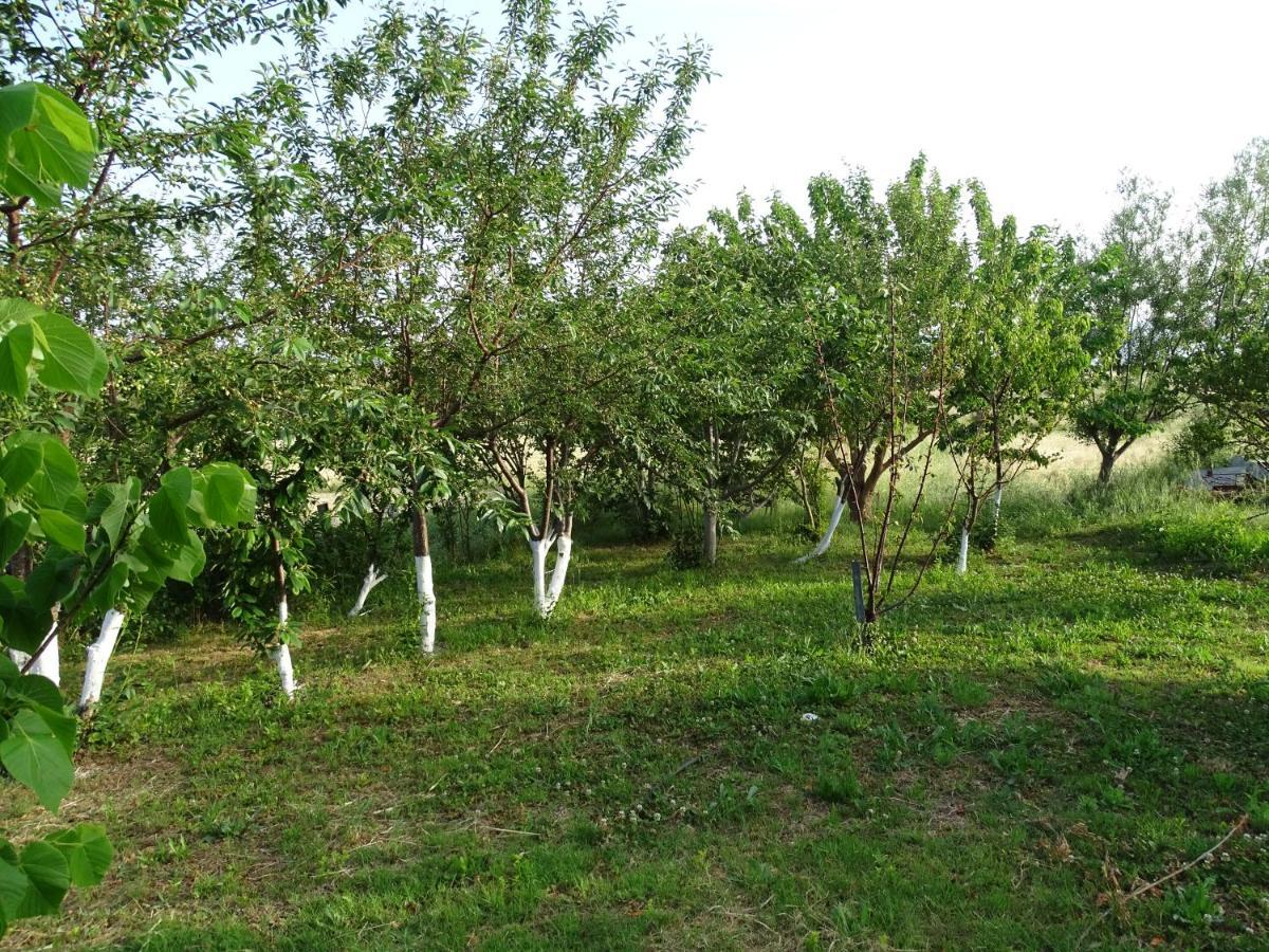 Melenios Houses Samothraki Luaran gambar